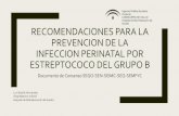 Recomendaciones para la prevención de la Infección Perinatal por EGB