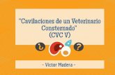 Victor Madera: ¿Soy vegetariano? (CVC V)
