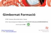 Gimbernat formació - Ciclos Formativos ámbito informatico