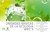 Wiky 9 - Maestría Desarrollo Sostenible y Medio Ambiente