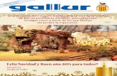GALLUR-Revista 95.pdf