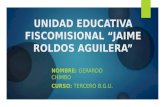 Unidad Educativa Jaime Roldos Aguilera