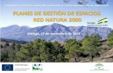 Planes de Gestión de espacios Red Natura 2000. Caso práctico: Planes de Gestión de las ZEC Sierra de Abdalajís y La Encantada Sur, y Sierras de Alcaparaín y Aguas