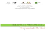 Documento Rector Estado de México.  2016 boletas