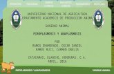 Piroplasmosis y anaplasmosis, sanidad animal