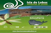 Isla de Lobos: cuaderno de campo.