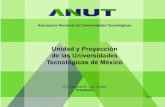 Unidad y Proyección de las Universidades Tecnológicas de México