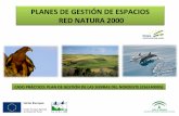 Planes de Gestión de Espacios Red Natura 2000. Caso Práctico: Plan de Gestión de las Sierras del Nordeste (ES6140005)