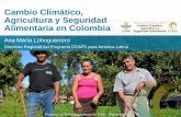 Cambio Climático, Agricultura y Seguridad Alimentaria en Colombia
