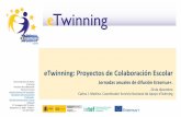 eTwinning: Proyectos de Colaboración Escolar