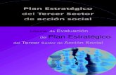 Informe de Evaluación del Primer Plan Estratégico del Tercer Sector ...