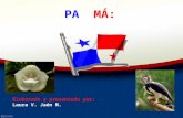 Panamá y sus elementos