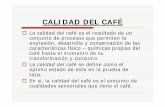Cafe calidadf
