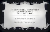 Ingeniería genética (problemas ecológicos)