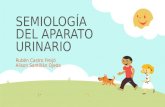 Semiología del aparato urinario / PEDIATRÍA