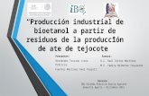 Producción industrial de bioetanol a partir de residuos del ate de tejocote