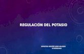 FISIOLOGIA RENAL: Regulación del potasio