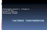 Factores teratogénicos