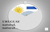 Uruguay - Tarea Grupo 4