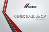 Analisis de Grupo CEMEX S.A de C.V