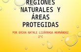 Evidencias fotográficas mapa de regiones naturales y áreas protegidas