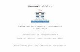 Manual C/C++ Néstor Flores