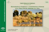 Acciones de restauración de humedales y mejoras de especies en el Paraje Natural Marismas del Odiel