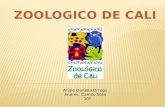 zoologico de cali (ofimatica)