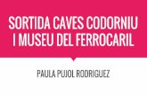 Sortida caves codorniu i museu del ferrocaril