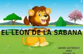 El león de la sabana