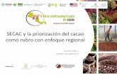 S1.pm6 SECAC y la priorización del cacao como rubro con enfoque regional