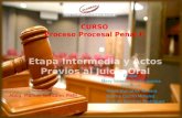 Etapa intermedia y actos previos al juicio oral