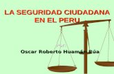 Peru seguridad ciudadana