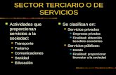 Sector terciario o de servicios
