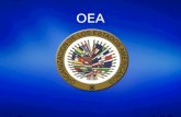 Enlace Ciudadano Nro 256 tema: OEA