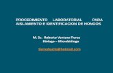 5. proce-laboratorio-aislamientos-hongos (1)