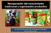 Recuperación de conocimiento tradicional y organización productiva