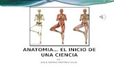 Anatomía y Fisología