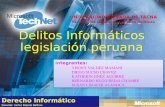 Delitos infotmaticos    legislacion peruana
