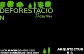 Deforestacion   Maitén Marchano Lucía Machado