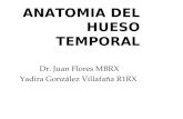 Anatomia Del Hueso Temporal1