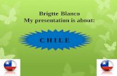 Chile exposicion