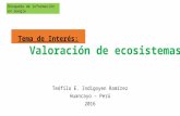 Busqueda informacion de valoración de ecosistemas