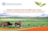 Módulo 3: Desarrollo de las NAMA, paso a paso. Herramienta de aprendizaje sobre medidas de mitigación apropiadas para cada país en el sector de la agricultura, silvicultura y otros