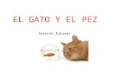 El Gato y El Pez (sin Palabras)