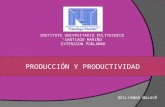 Produccion y productividad