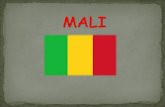 mali cicle inicial