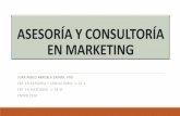Asesoría y consultoría en marketing sesión 4