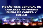 Metastasis cervical de tumores primarios fuera de cabeza y cuello