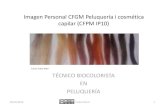 IMAGEN PERSONAL_CFGM Peluqueria y cosmética capilar (CFPM IP10)